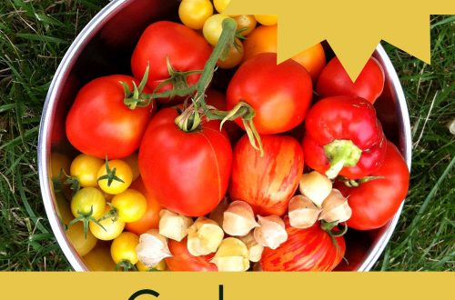gardening plr ecourse course