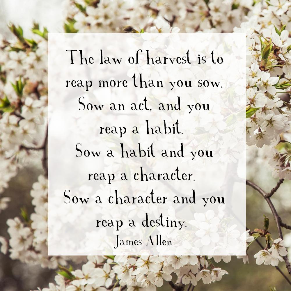 habits inspirational quote graphics for social media