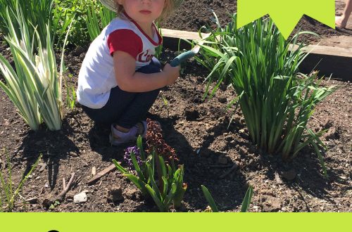 gardening with children plr articles