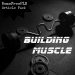 building muscle plr