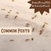 common pests plr
