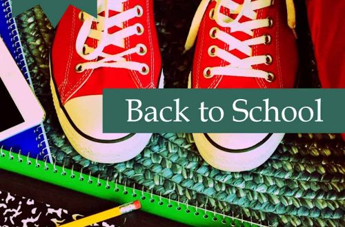 back to school plr article pack