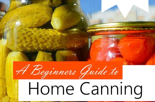 home canning plr