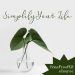 simplify your life plr ecourse simplicity