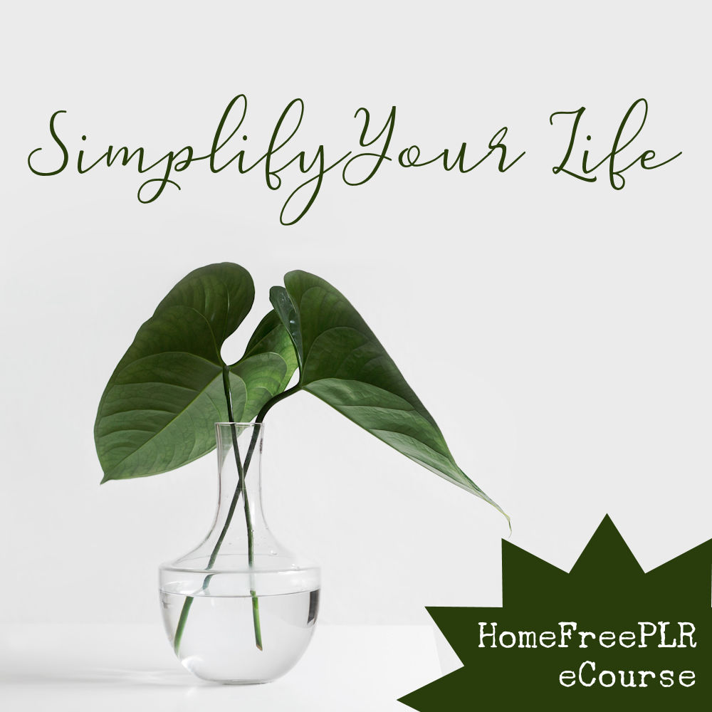 simplify your life plr ecourse simplicity