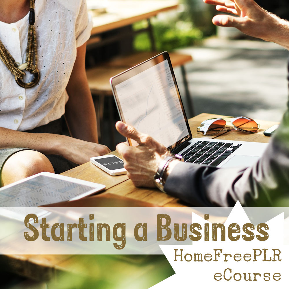 starting a business plr