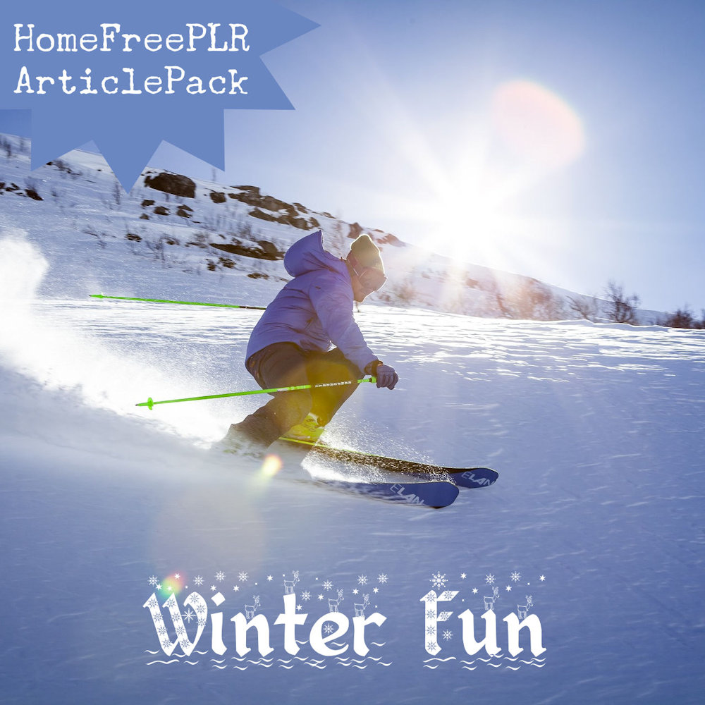 winter fun plr articles