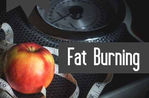 fat burning plr articles