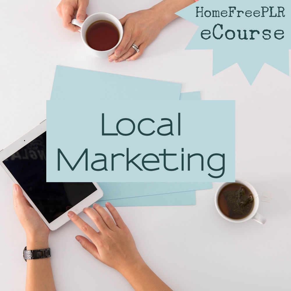 local marketing plr ecourse