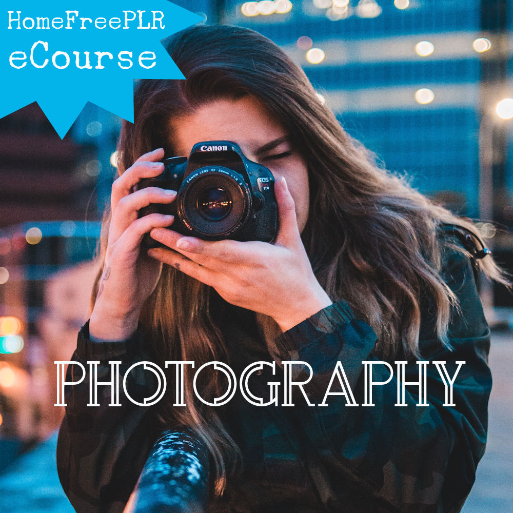 photography ecourse plr
