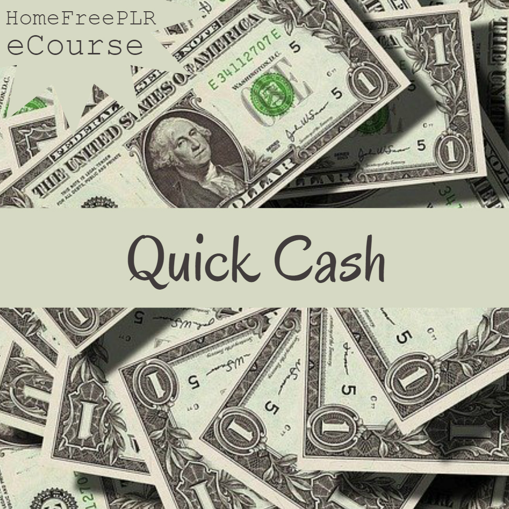 quick cash plr ecourse