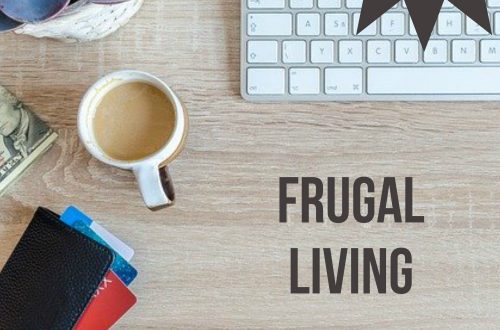 frugal living plr articles