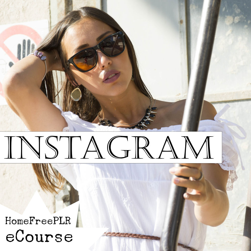 instagram plr