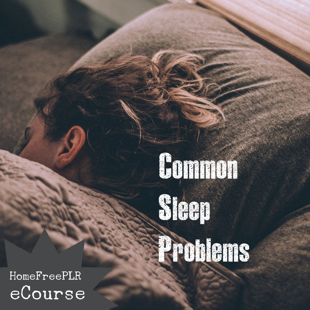 sleep problems plr ecourse