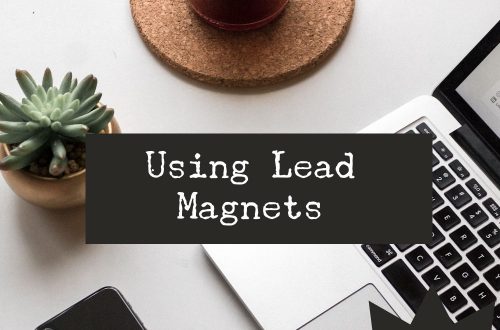 lead magnets plr ecourse