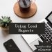 lead magnets plr ecourse