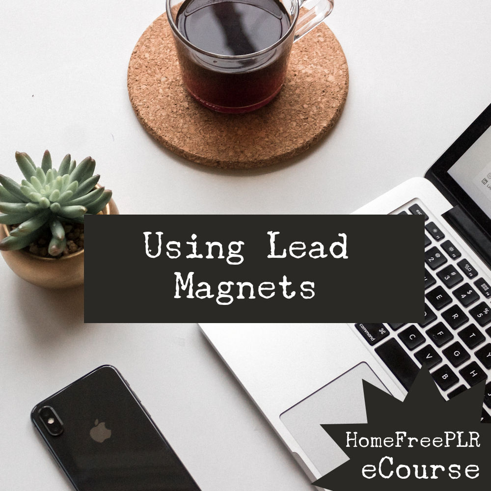 lead magnets plr ecourse