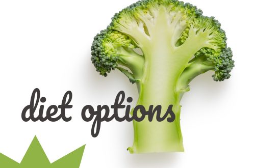 diet options PLR ecourse