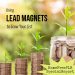 lead magnets PLR report