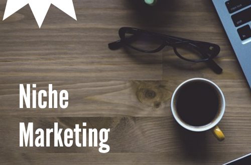 niche marketing PLR article pack